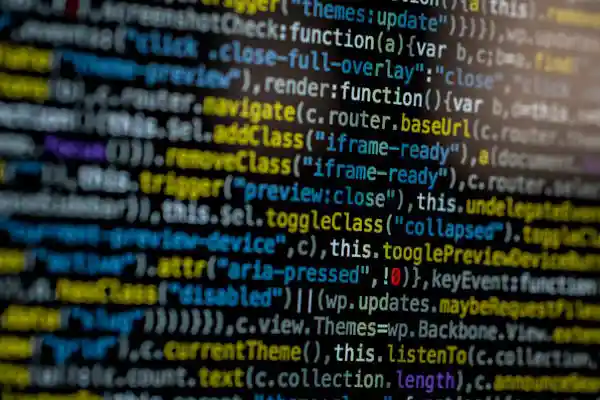 JavaScript